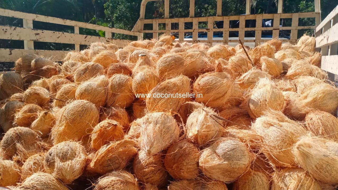 Dehusked-Coconut-load