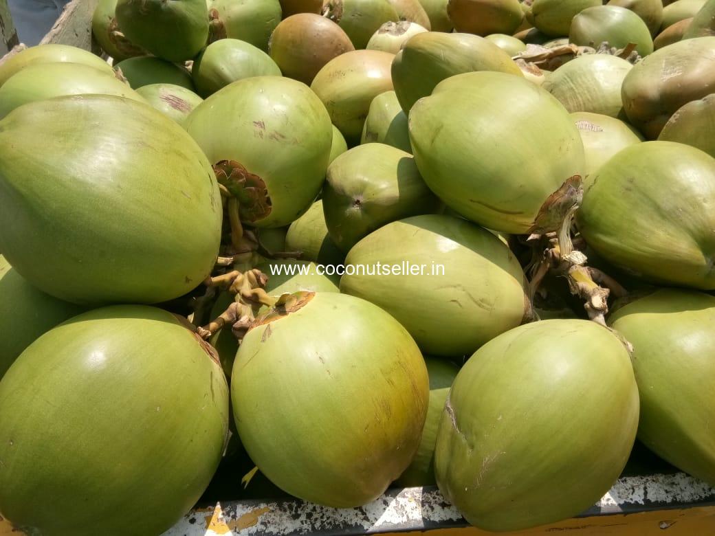 Maddur Tender coconuts
