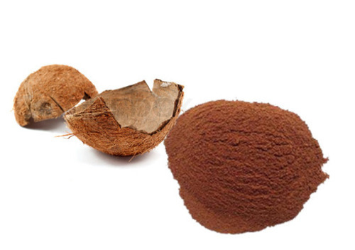 coconut-shell-powder