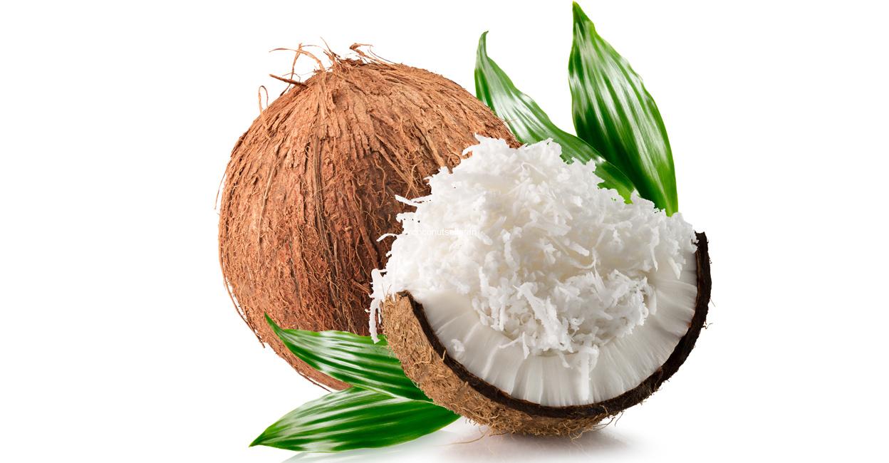 Coconut meet or flesh