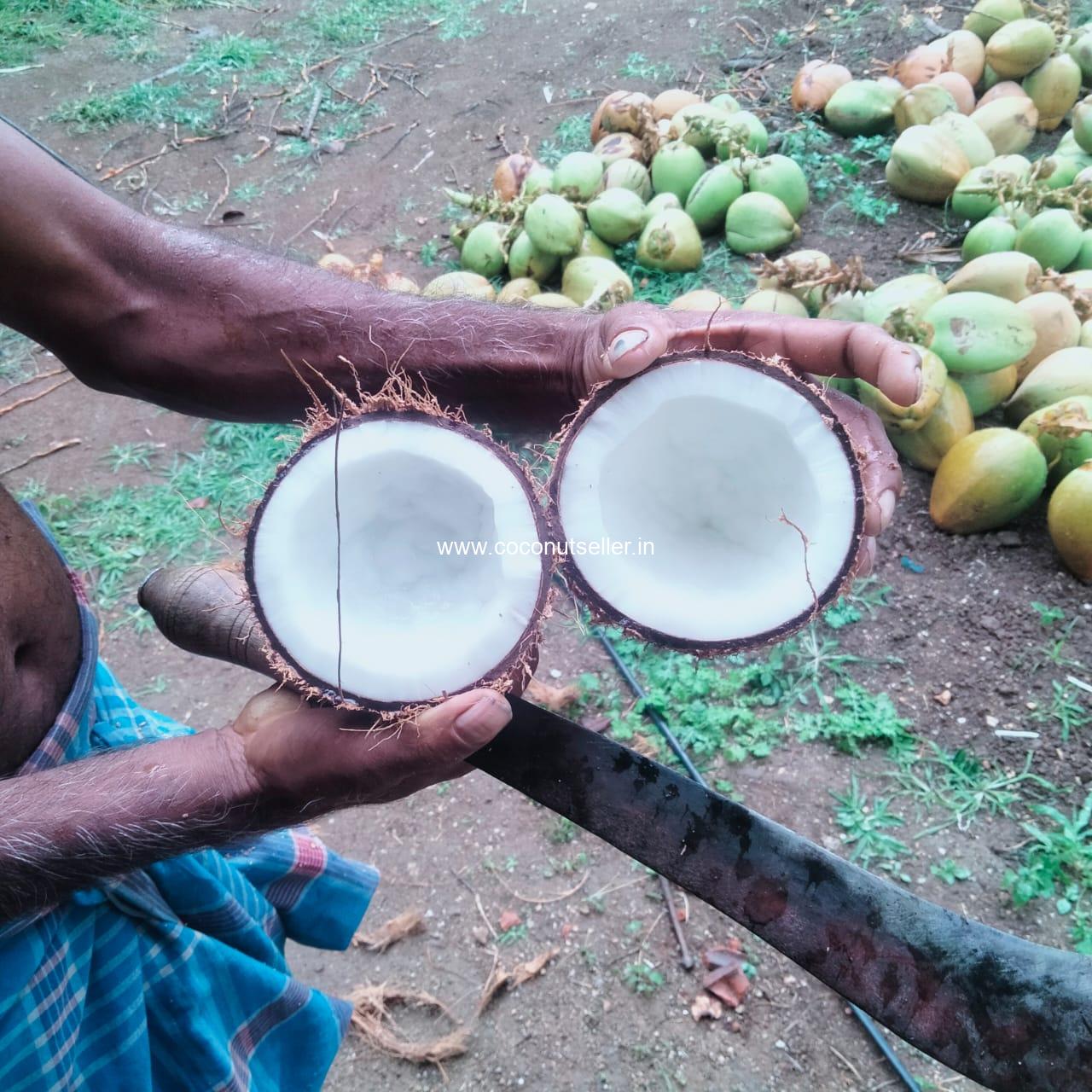 Raw coconut