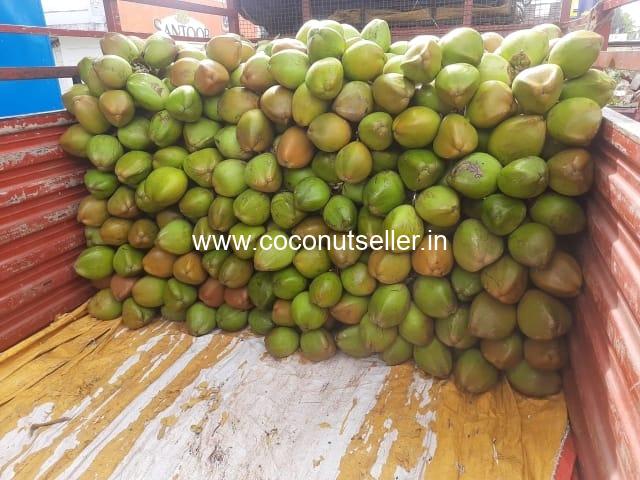 Tender coconut step arrangement in vehicle