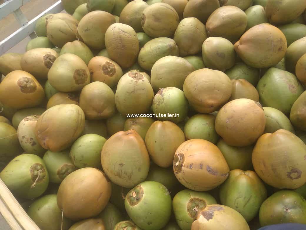 Tender coconut loose loading