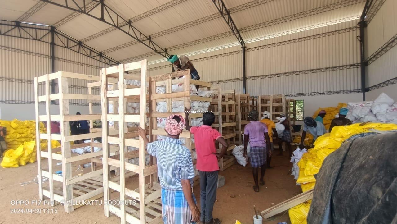 Coconut export pallet packing