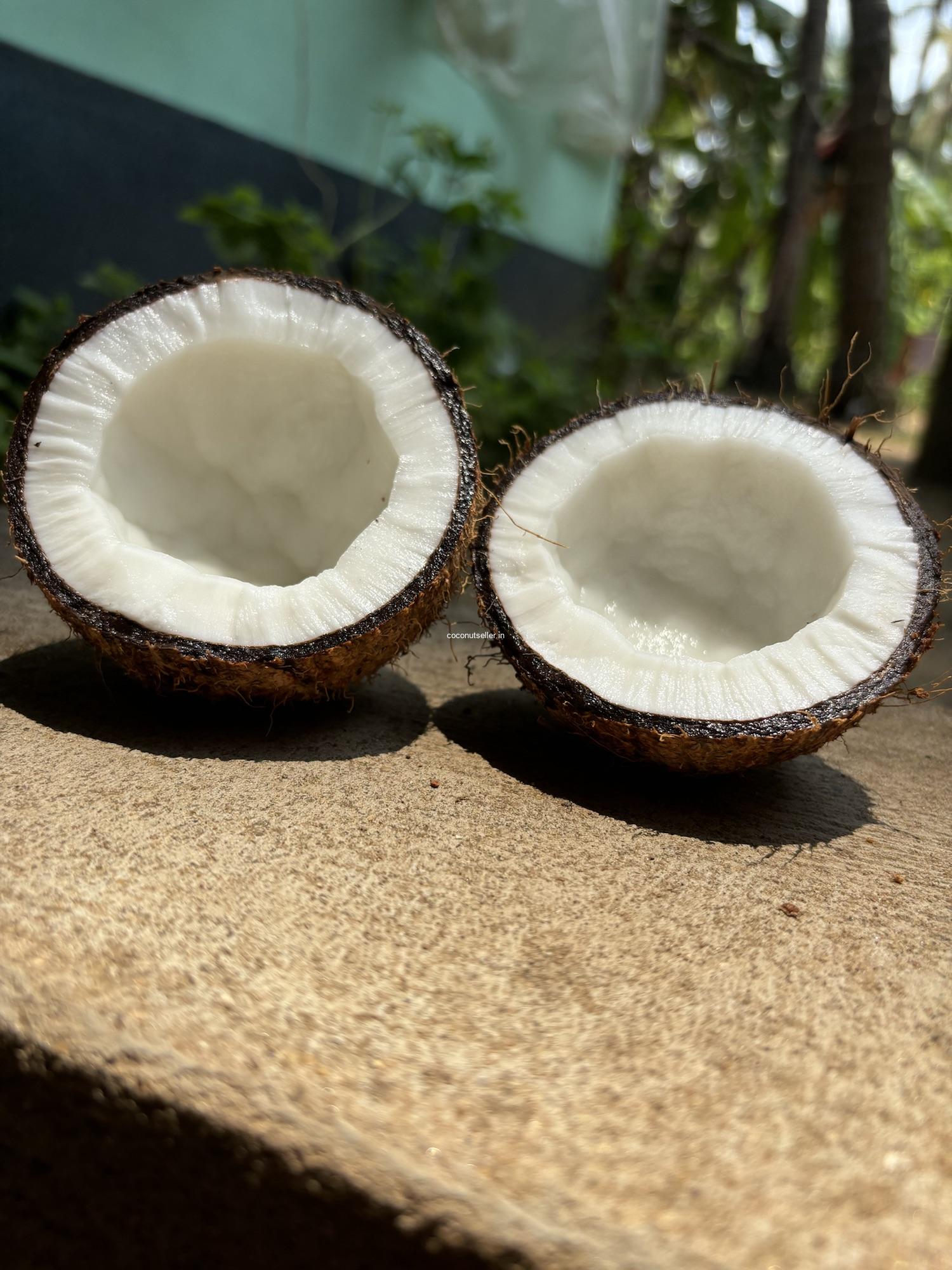 Fresh matured broken coconut