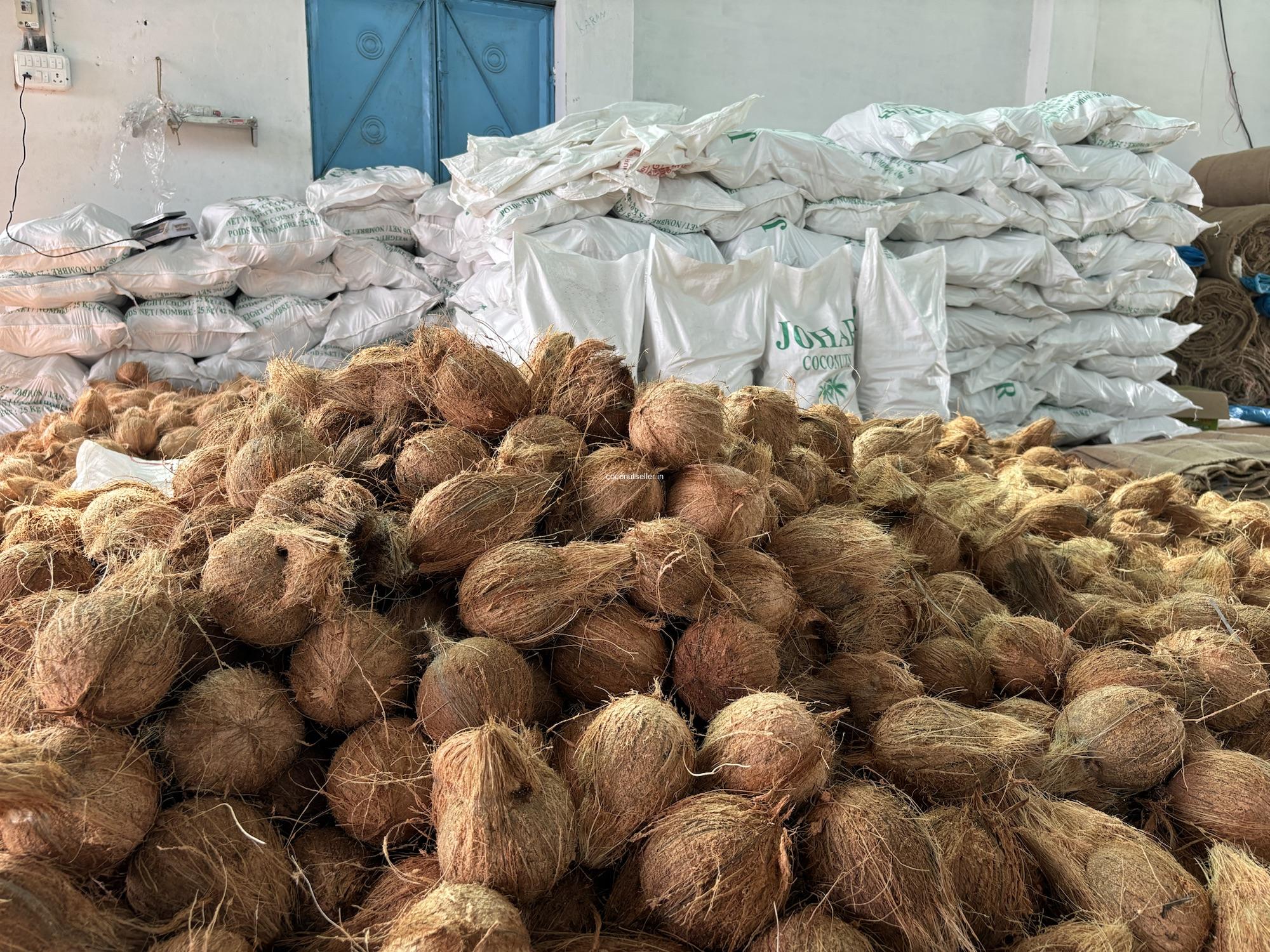 Fresh Indian coconut