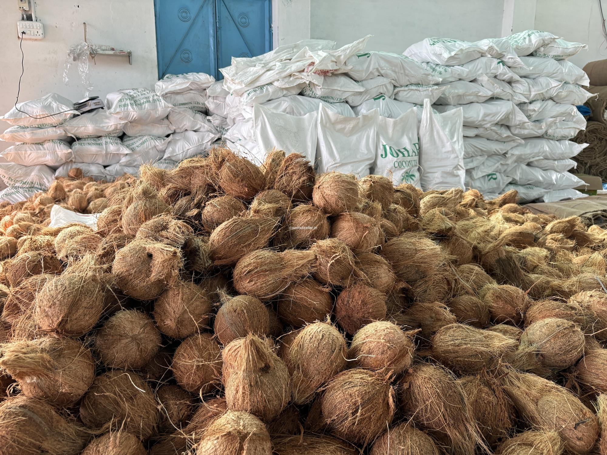 Fresh Indian coconut