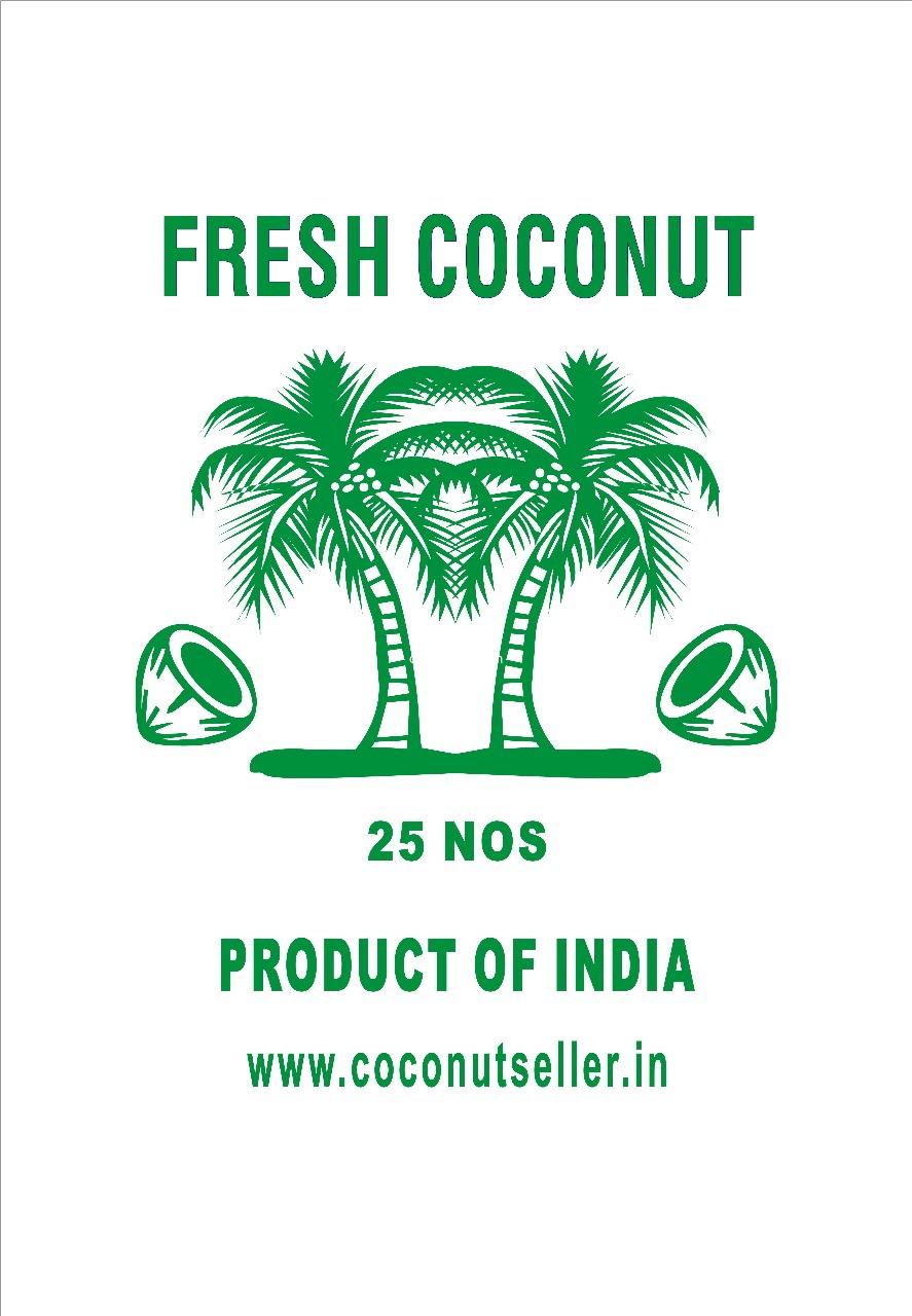 Coconut export pp bag