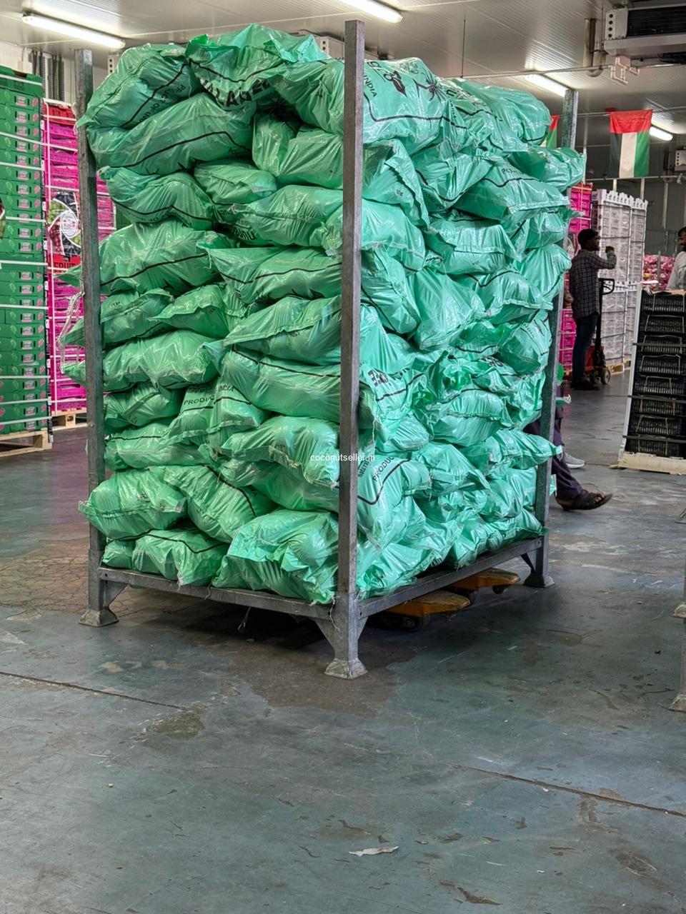 Fresh coconut stored in cool place Dubai