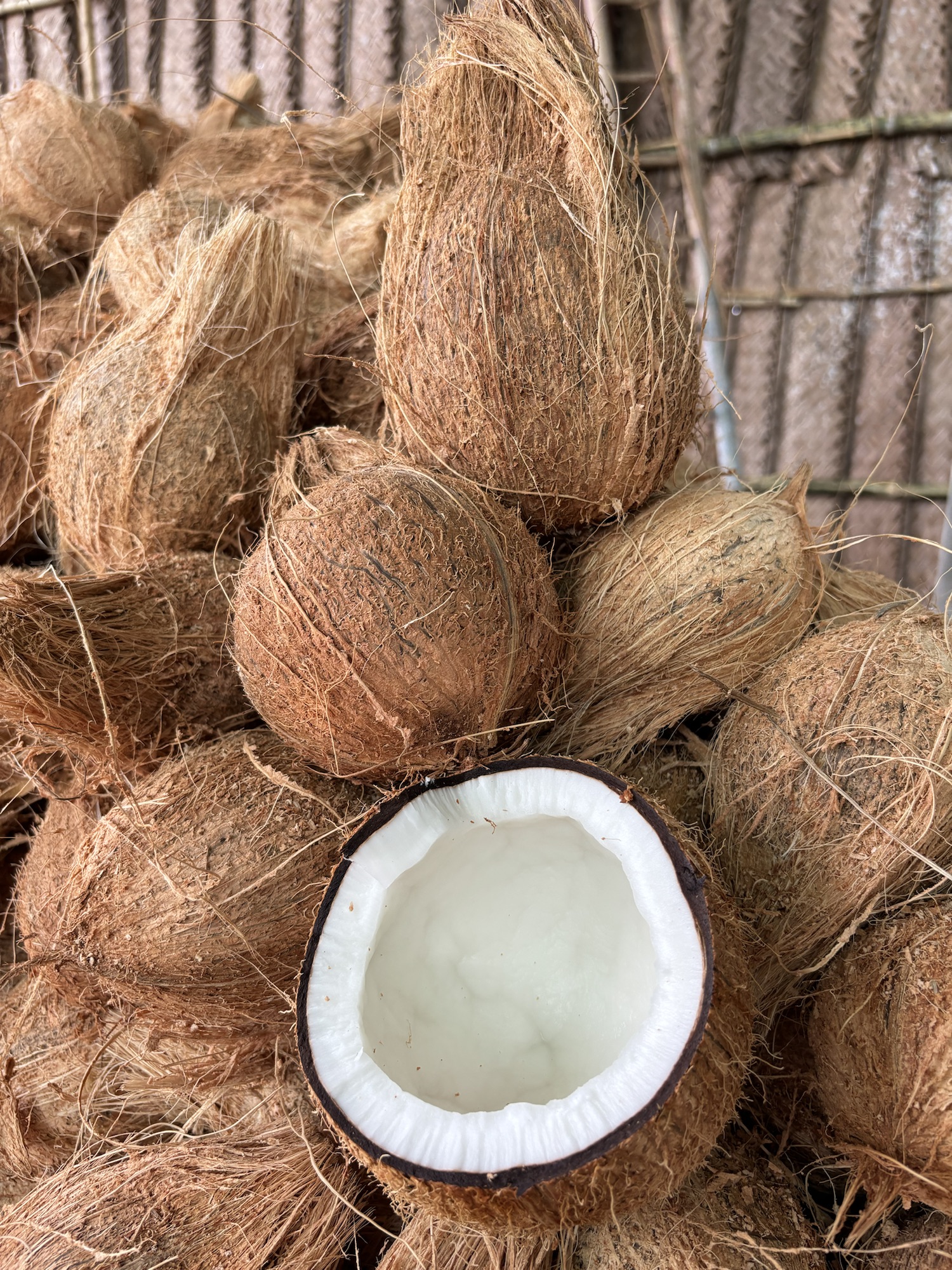 A grade quality fresh coconuts