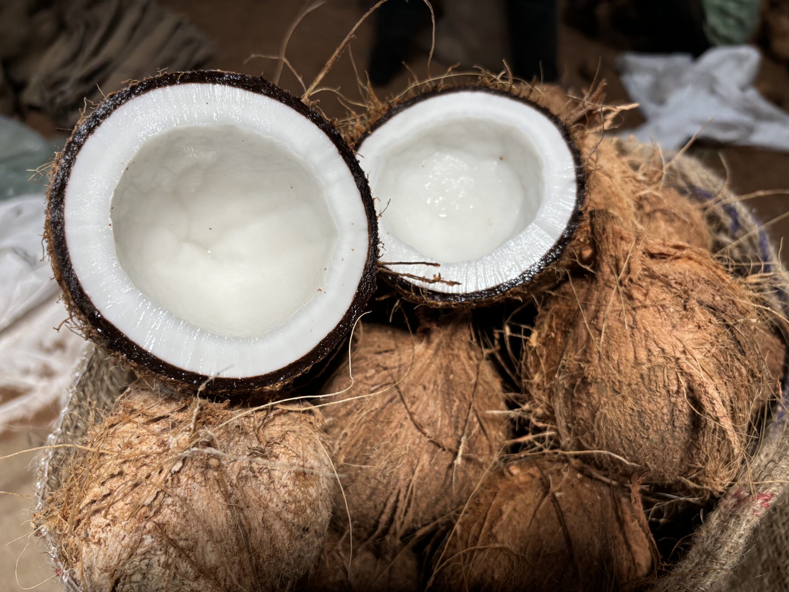 Coconut prices have soared to all-time highs