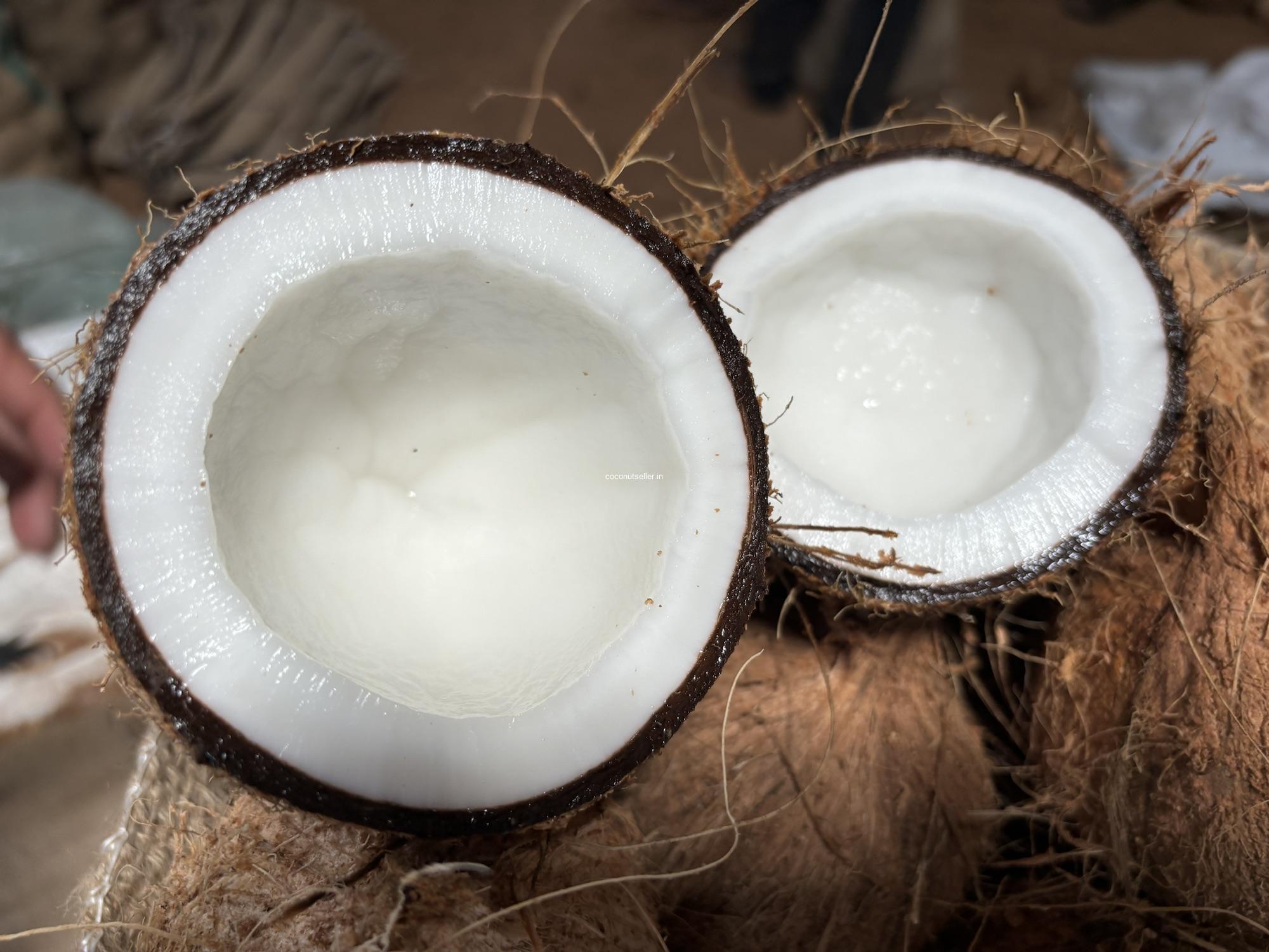 Fresh coconut meat