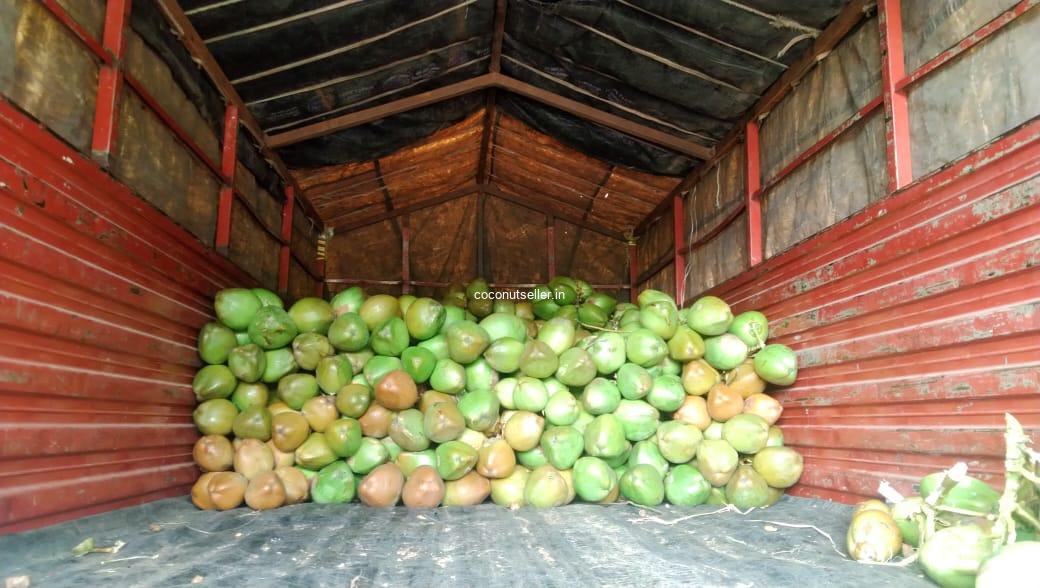 Tender-coconut