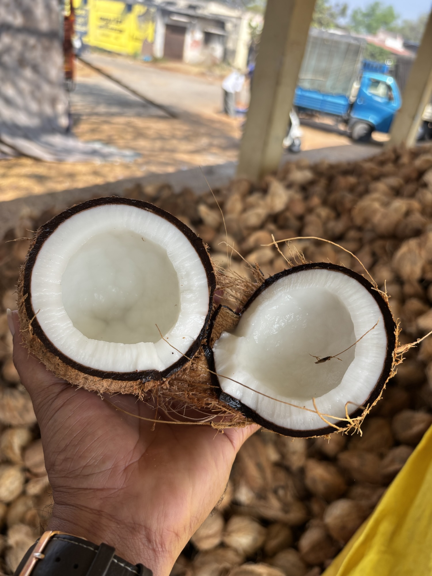 Fresh coconut