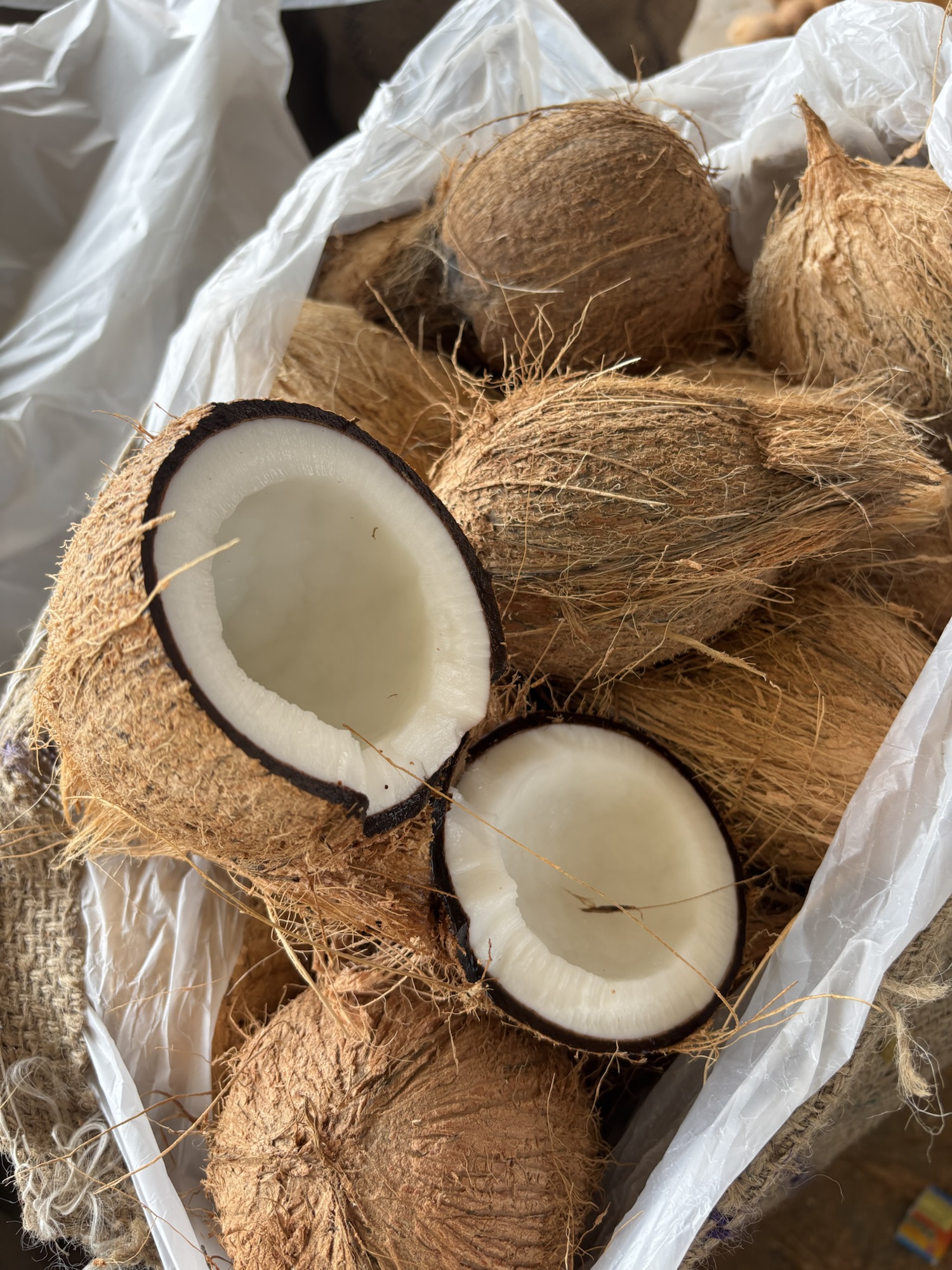 Fresh semi husked coconut